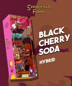 black cherry soda springfield farms